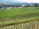 238kmShisou2010_0701_143318.jpg