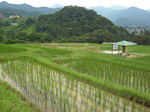 238kmShisou2010_0701_143334.jpg