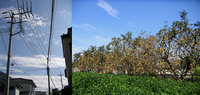 FI2618968_2E.jpg