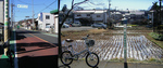 FI2619048_1E.jpg