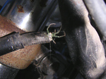 FaceWash2011_1027_155717.jpg