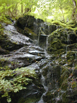 NipparaRindouTansaku2010_0918_132656.jpg