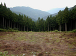 NipparaRindouTansaku2010_0918_142750.jpg