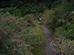 NipparaRindouTansaku2010_0918_163605.jpg