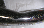 Pedal2010_1020_020110.jpg
