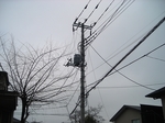 SampoEnzanSakura 20190331-094859.JPG