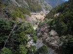 SampoEnzanSakura 20190331-111114.JPG
