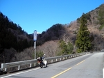 SampoEnzanSakura 20190331-114319.JPG