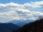 SampoEnzanSakura 20190331-123240.JPG