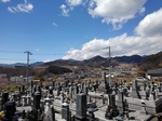SampoEnzanSakura 20190331-130329.JPG