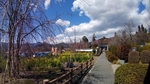 SampoEnzanSakura 20190331-131750.JPG