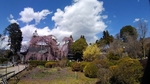 SampoEnzanSakura 20190331-132118.JPG