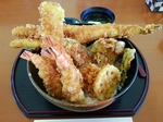 SampoEnzanSakura 20190331-144322.JPG