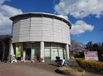 SampoEnzanSakura 20190331-150925.JPG