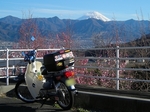 SampoEnzanSakura 20190331-161626.JPG