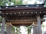 SampoEnzanSakura 20190331-162751.JPG