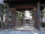 SampoEnzanSakura 20190331-162804.JPG
