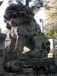 SampoEnzanSakura 20190331-163007.JPG