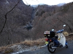 SampoEnzanSakura 20190331-170808.JPG