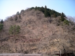 SampoJiunji20180329-120252.JPG