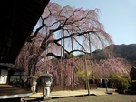 SampoJiunji20180329-134604.JPG
