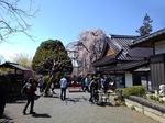 SampoJiunji 20190406-130351.JPG