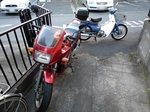 SampoKinjo20181229-165624.JPG