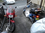 SampoKinjo20181229-165626.JPG