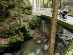 SampoOkutamaRindou2010_0909_150718.jpg