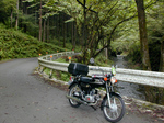 SampoOkutamaRindou2010_0909_155814.jpg