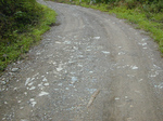 SampoOkutamaRindou2010_0909_162321.jpg