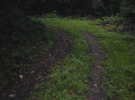 SampoOkutamaRindou2010_0909_164647.jpg