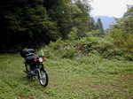 SampoOkutamaRindou2010_0909_164918.jpg