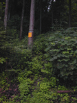 SampoOkutamaRindou2010_0909_165005.jpg
