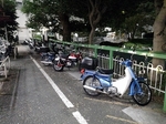 Tsuukin20181118-184259.JPG