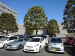 Tsuukin 20190302-101159.JPG