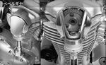 W800-3.jpg