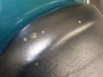 Check 20161021-152130.JPG
