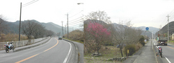 FI2618607_3E.jpg