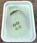 FI748253_1E.jpg