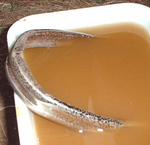 FI748253_3E.jpg