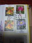 Head_MeterLED26410km2011_0507_194102.jpg
