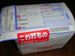 KAMIKAZE_16404km2009_1231_144425.jpg