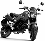 MSX125 thaihonda 20130109.jpg