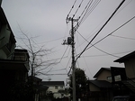 MeigiHenkou20160330-120355.JPG