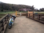 MeigiHenkou20160330-152832.JPG