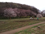MeigiHenkou20160330-152953.JPG