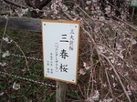 MeigiHenkou20160330-153319.JPG