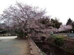 MeigiHenkou20160330-153841.JPG