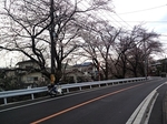 MeigiHenkou20160330-160017.JPG